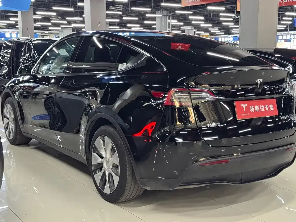 Tesla Model Y — фото 6