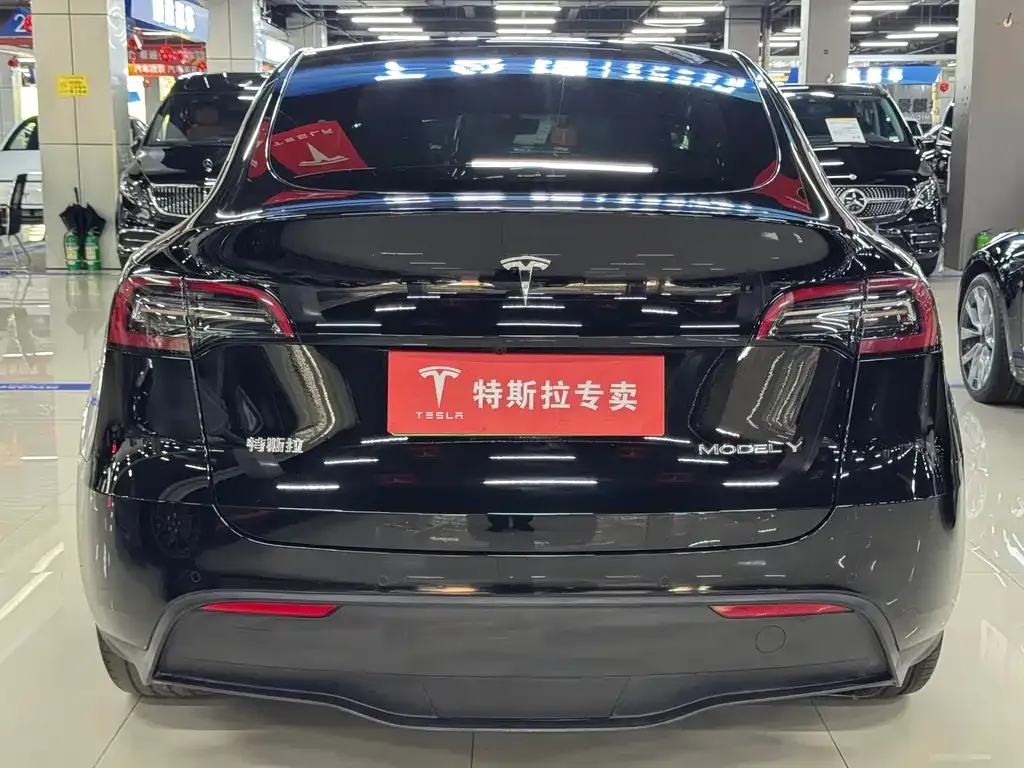 Tesla Model Y — фото 9