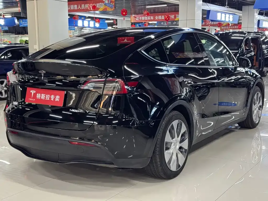 Tesla Model Y — фото 10