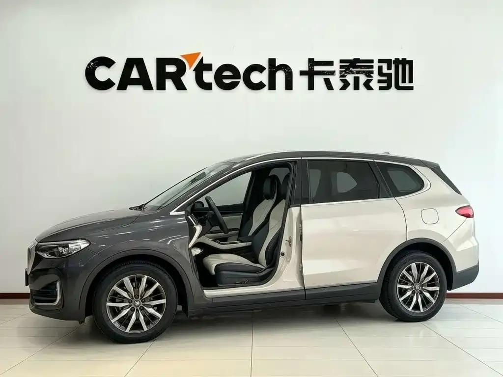 BYD PLUS New Energy — фото 1