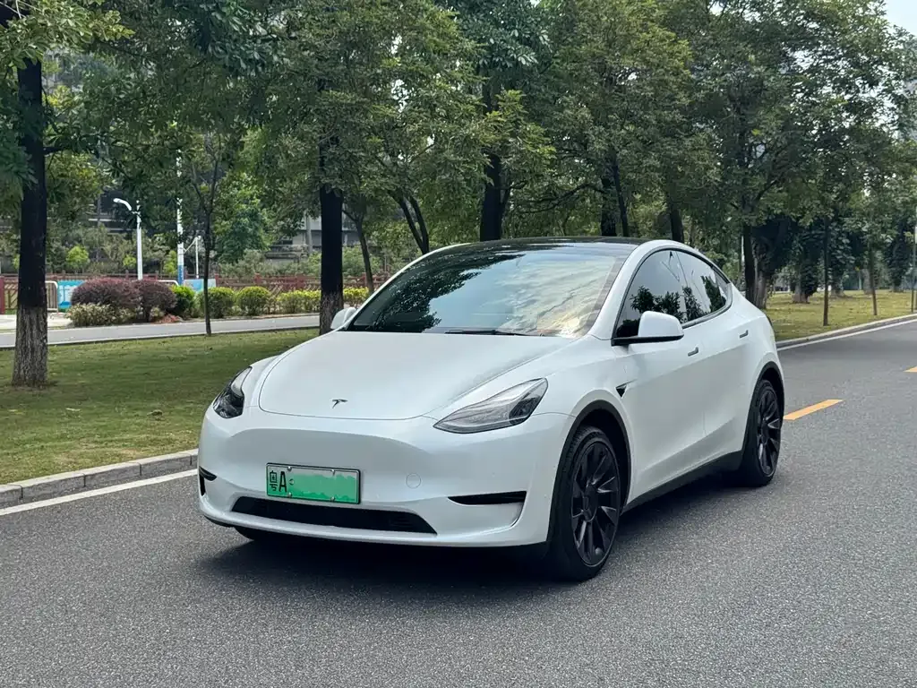 Tesla Model Y — фото 1