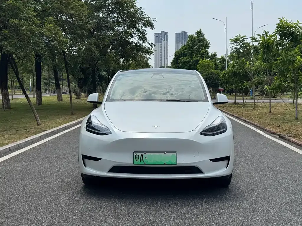 Tesla Model Y — фото 9