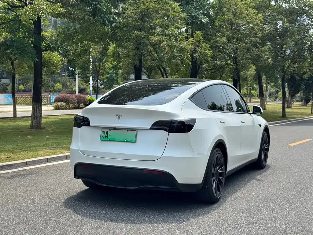 Tesla Model Y — фото 2