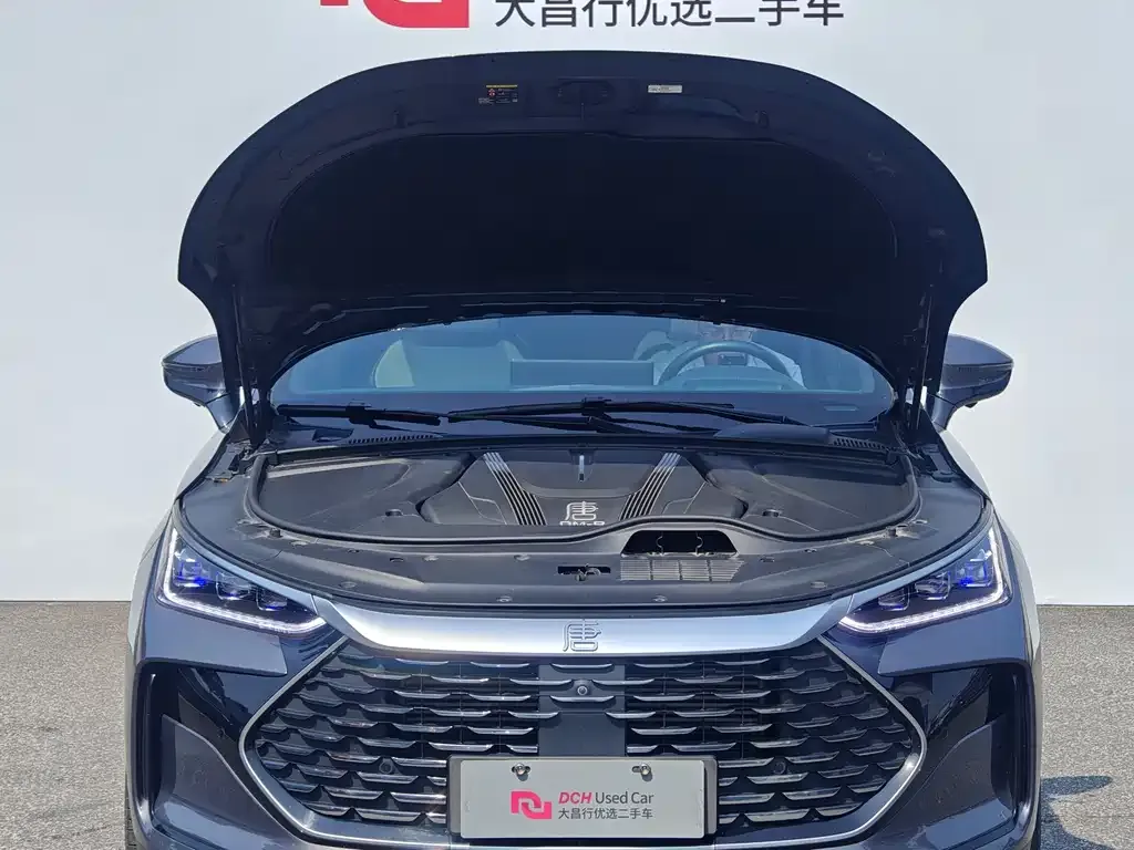 BYD Tang New Energy — фото 6