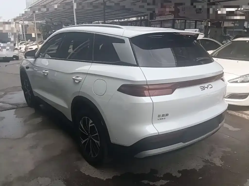 BYD Pro New Energy — фото 4