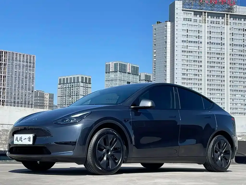 Tesla Model Y — фото 1