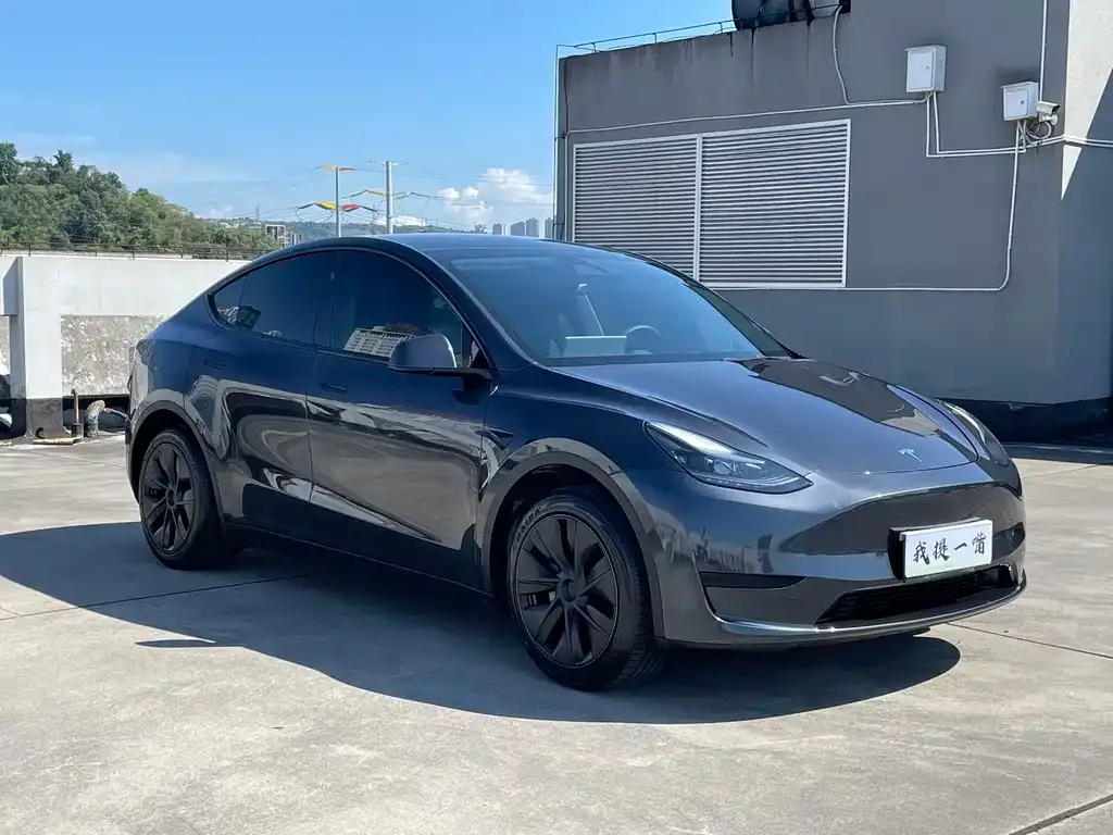 Tesla Model Y — фото 5