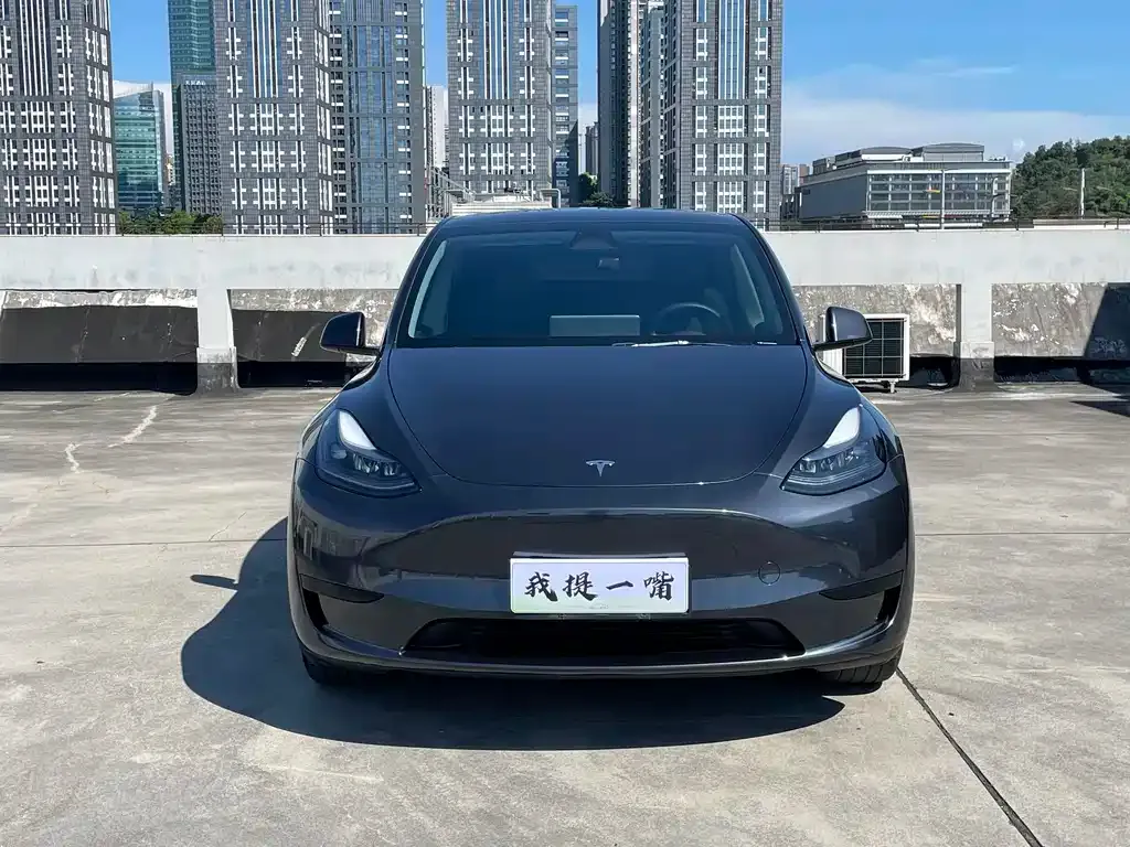 Tesla Model Y — фото 3