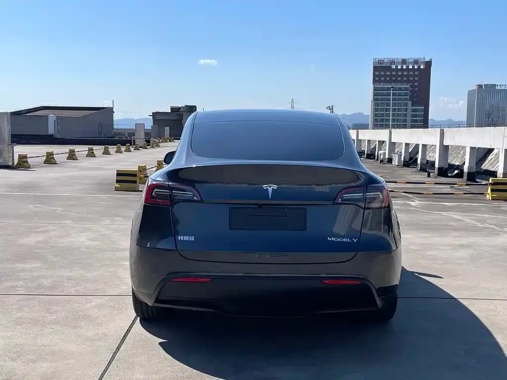 Tesla Model Y — фото 4