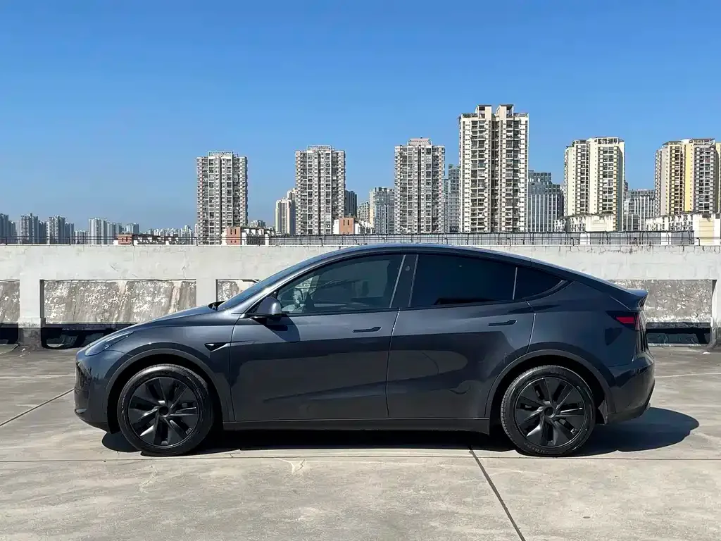 Tesla Model Y — фото 9