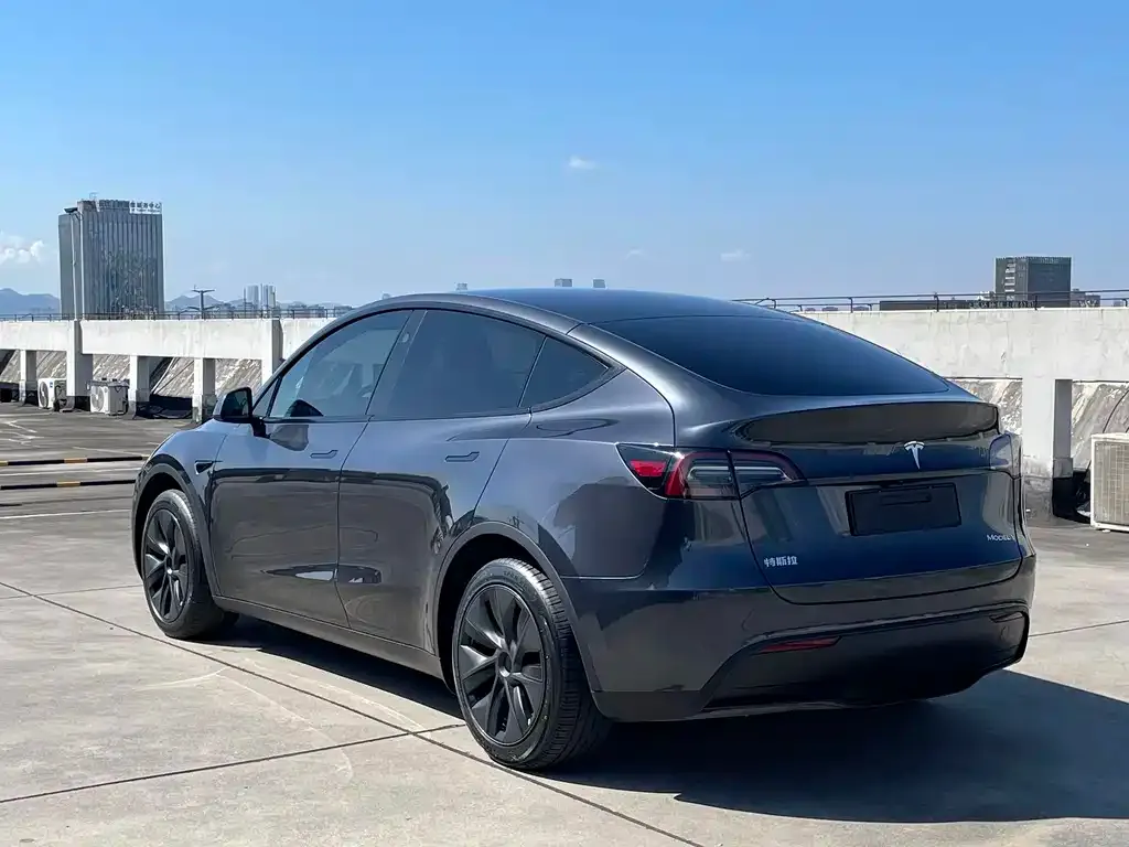 Tesla Model Y — фото 6