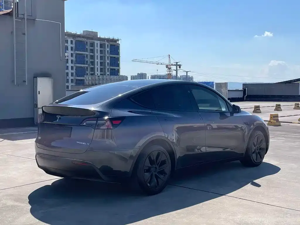 Tesla Model Y — фото 10