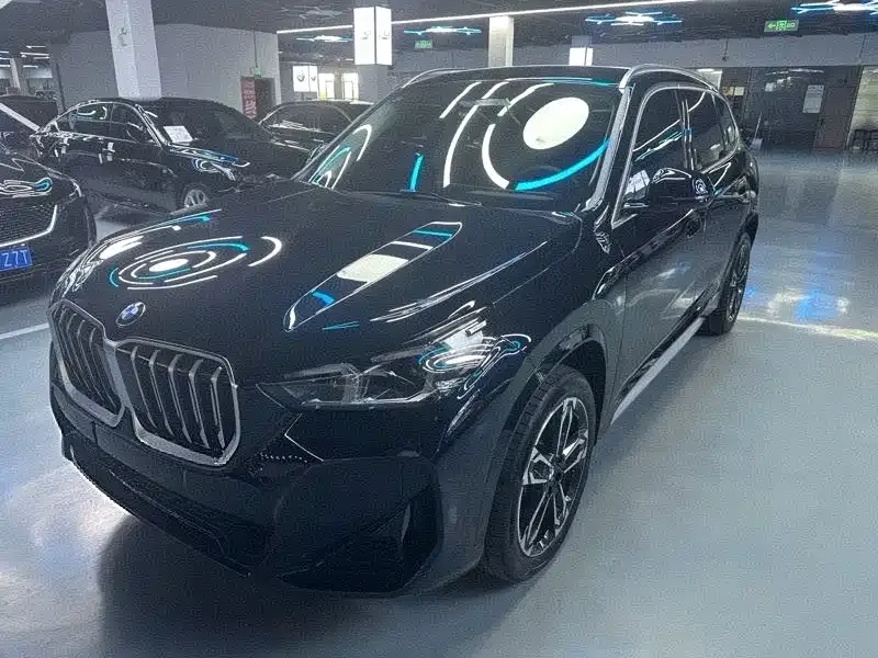 BMW X1 — фото 1
