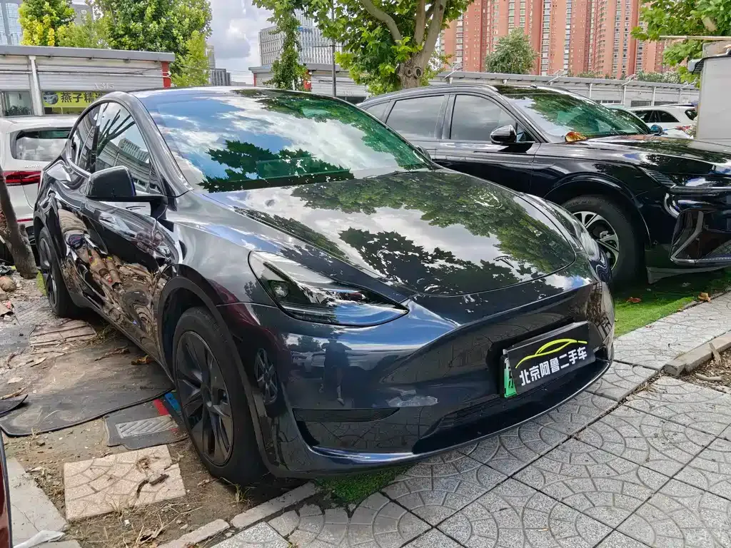 Tesla Model Y — фото 10