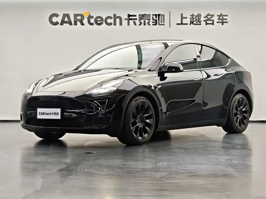 Tesla Model Y — фото 1
