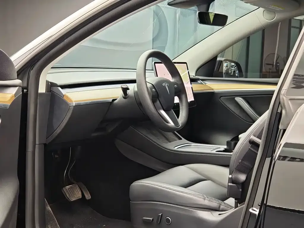 Tesla Model Y — фото 5