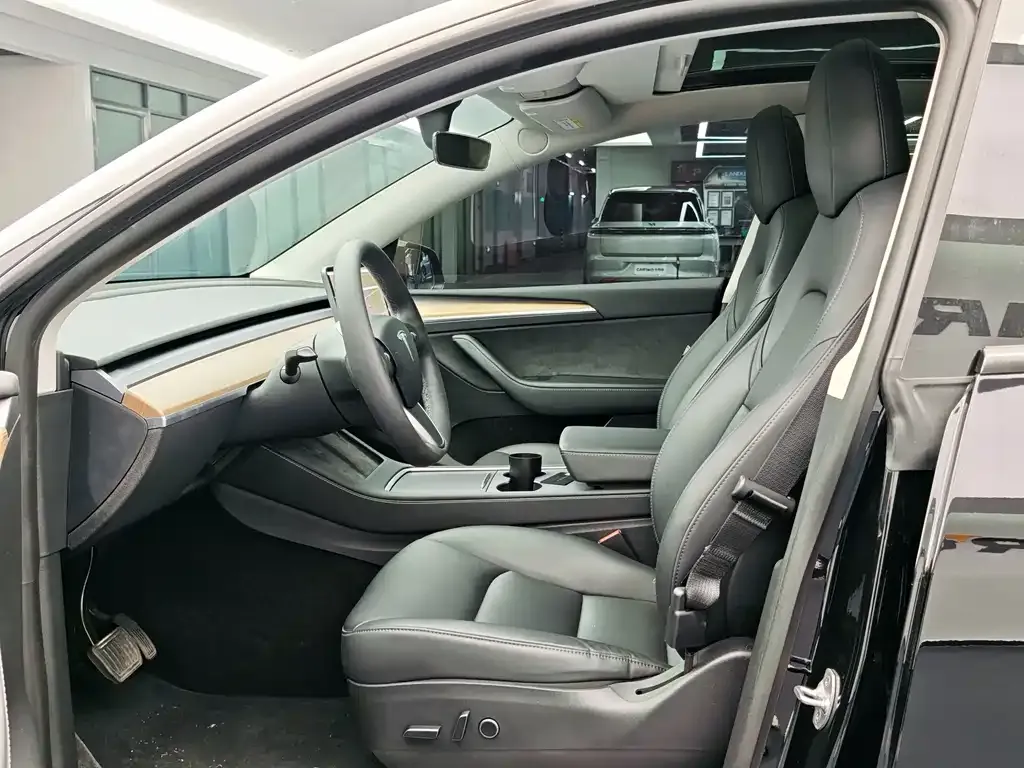 Tesla Model Y — фото 10