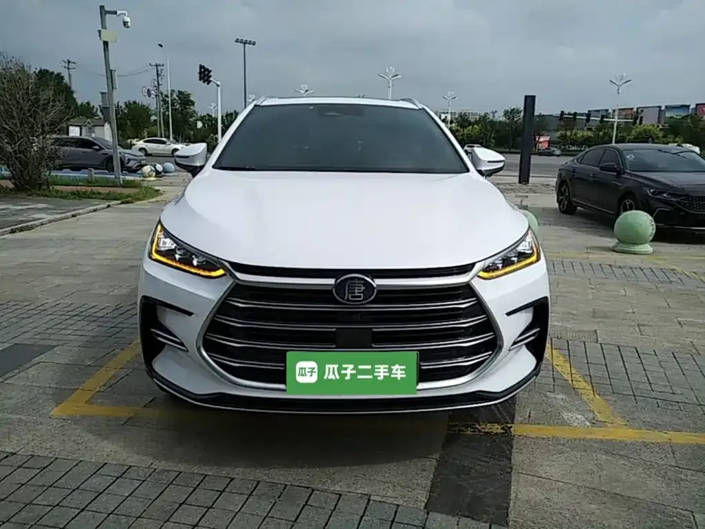 BYD Tang New Energy — фото 3