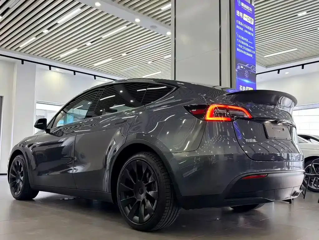Tesla Model Y — фото 8
