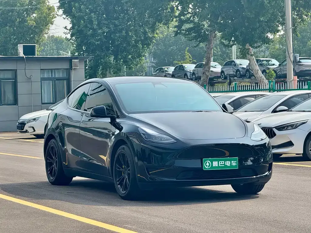 Tesla Model Y — фото 3