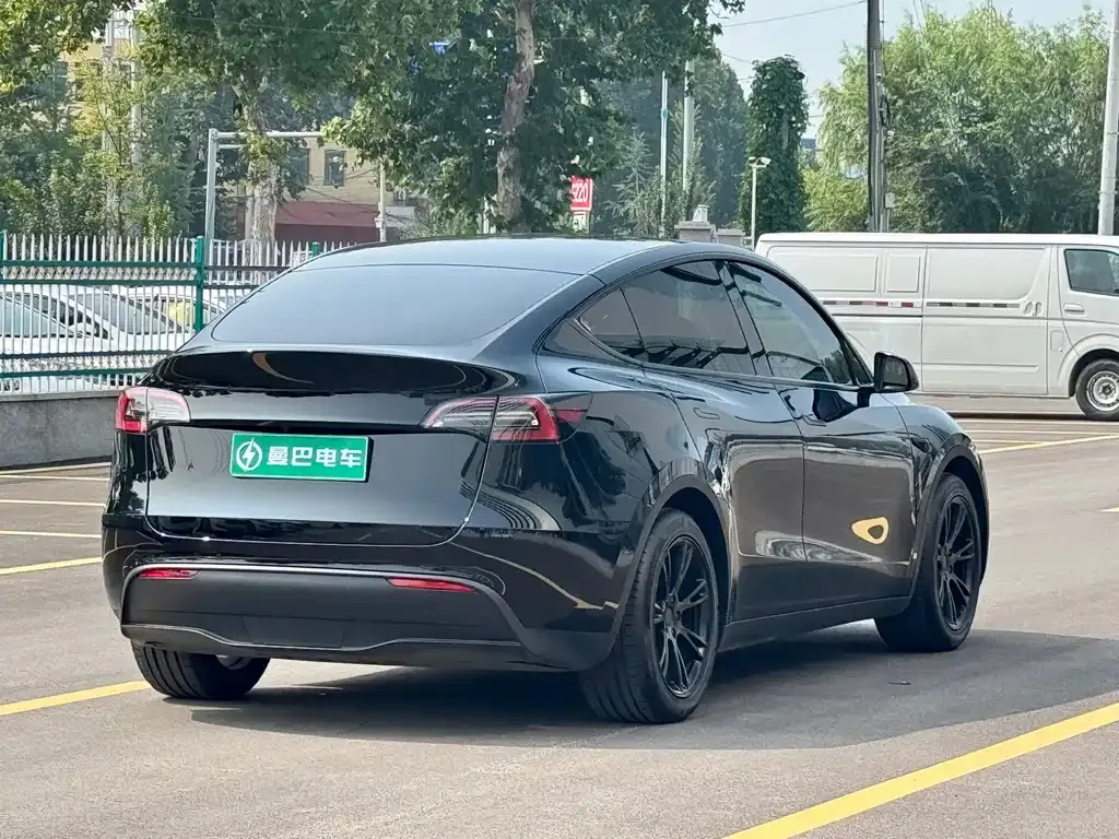 Tesla Model Y — фото 10