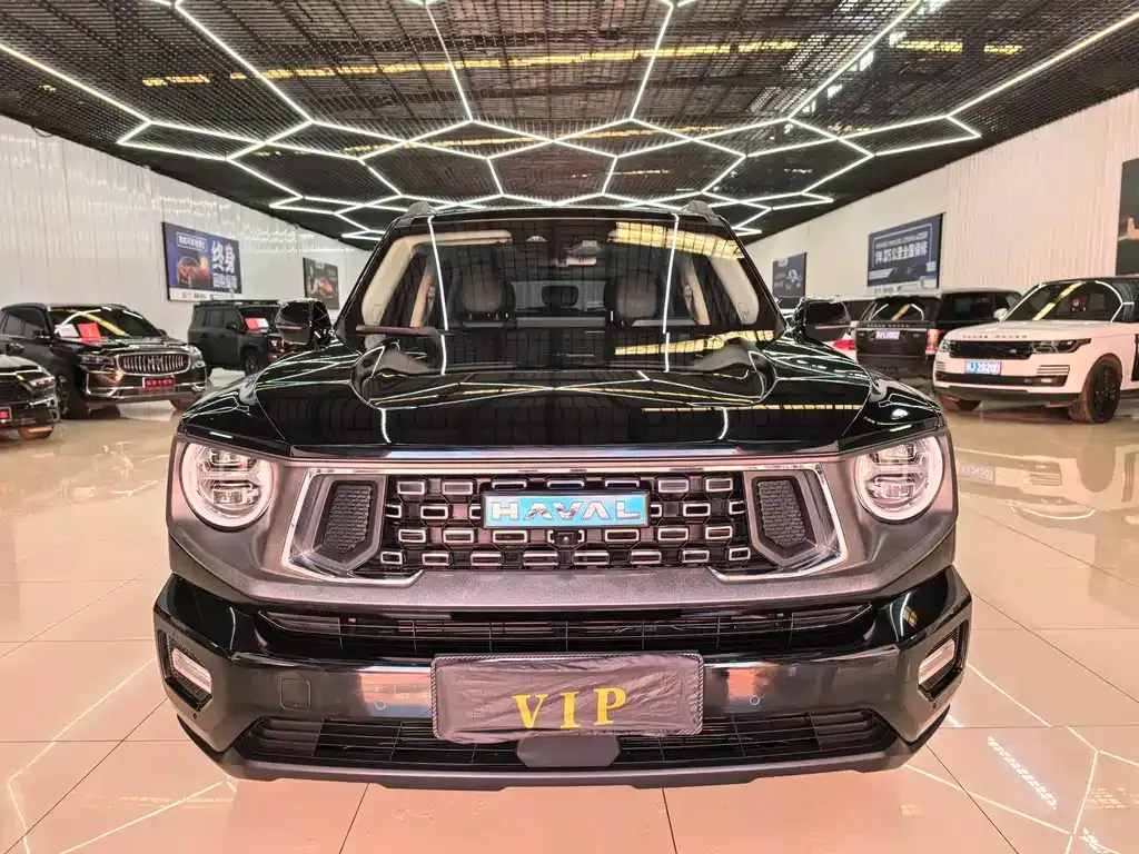 Haval H7 (Big Dog Plus) New Energy — фото 10
