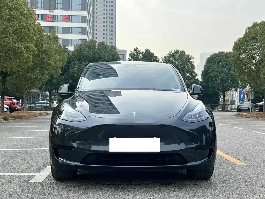 Tesla Model Y — фото 7