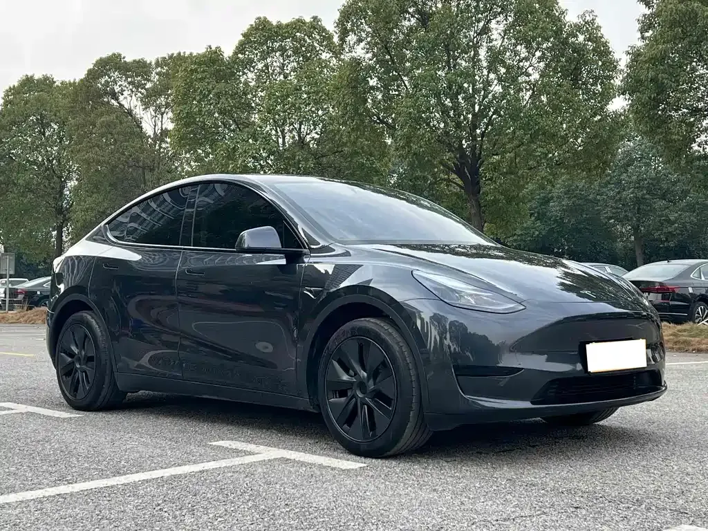 Tesla Model Y — фото 5