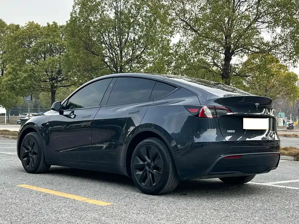 Tesla Model Y — фото 9