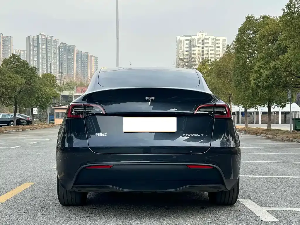 Tesla Model Y — фото 10