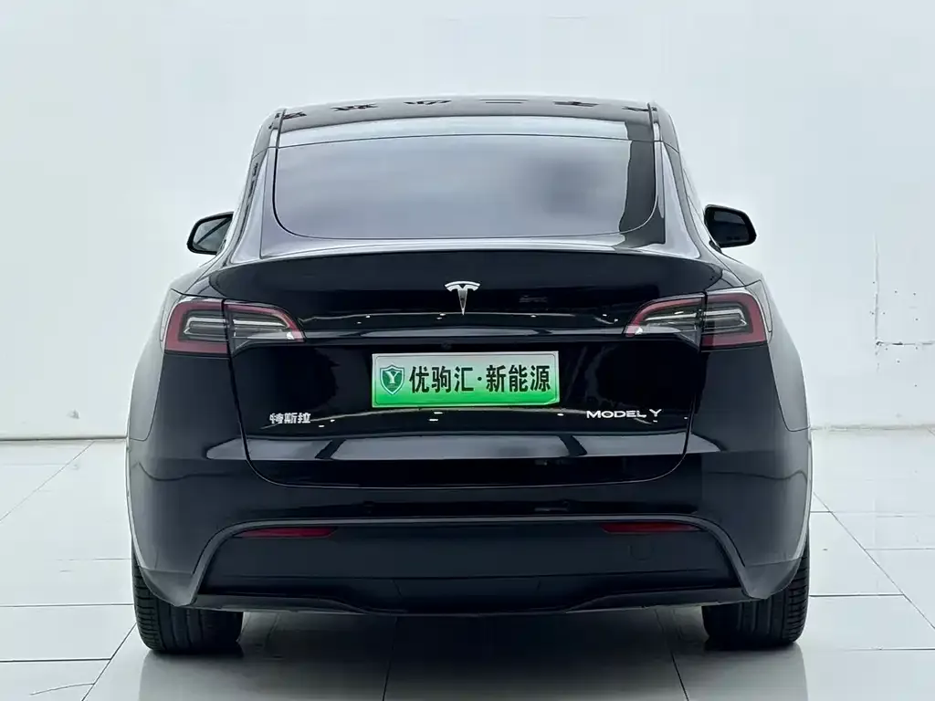 Tesla Model Y — фото 8