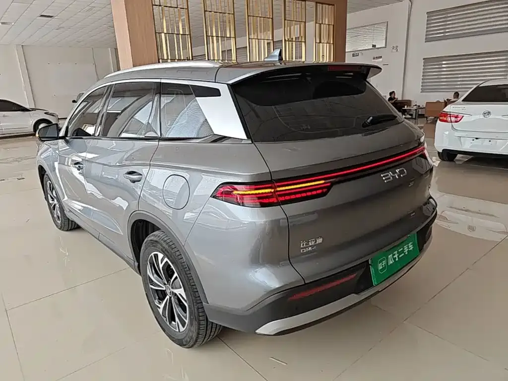 BYD Pro New Energy — фото 4