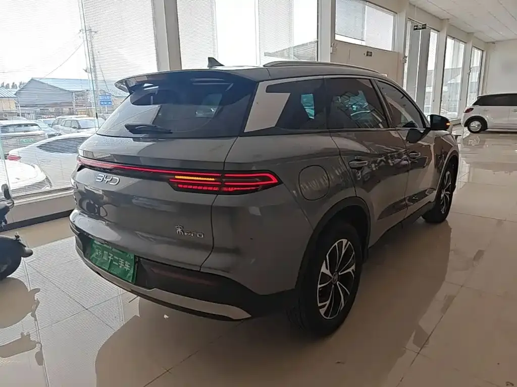 BYD Pro New Energy — фото 5