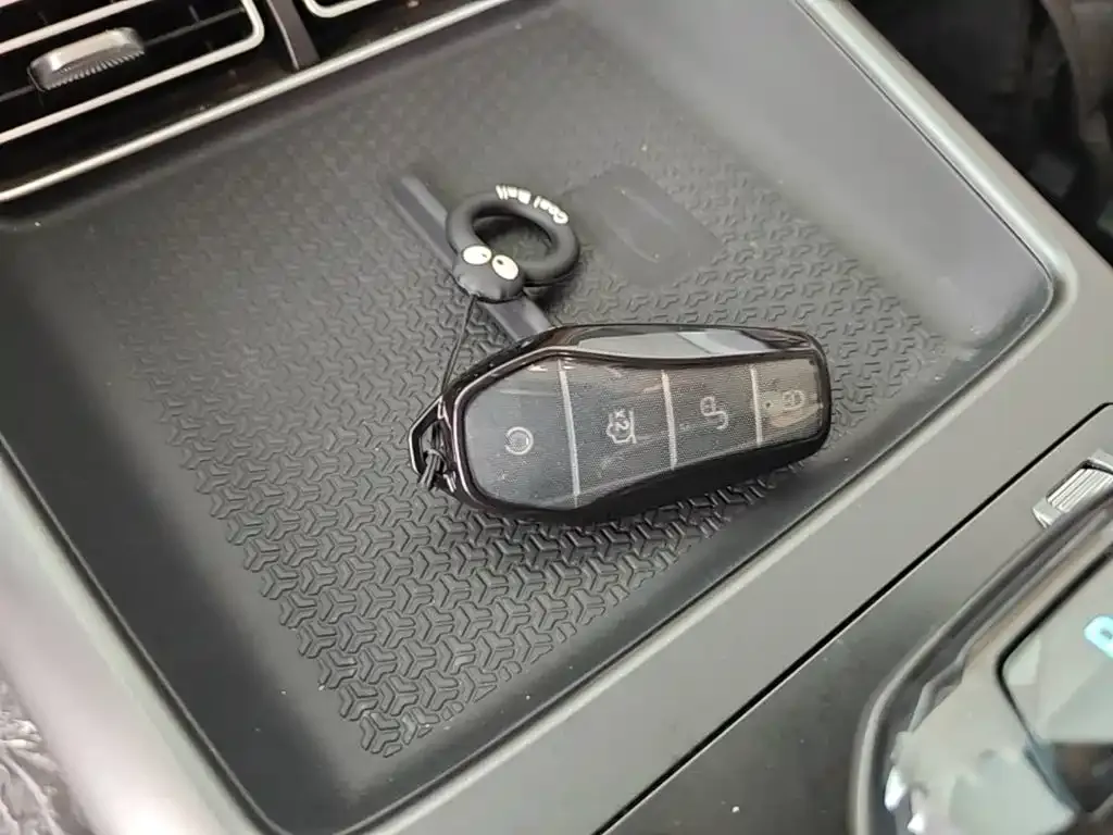 BYD Pro New Energy — фото 10
