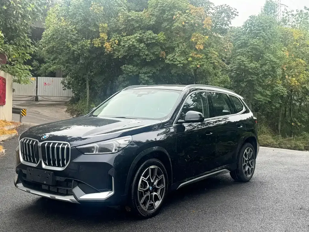 BMW X1 — фото 1