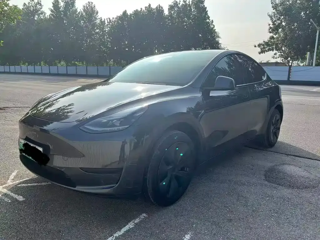 Tesla Model Y — фото 1