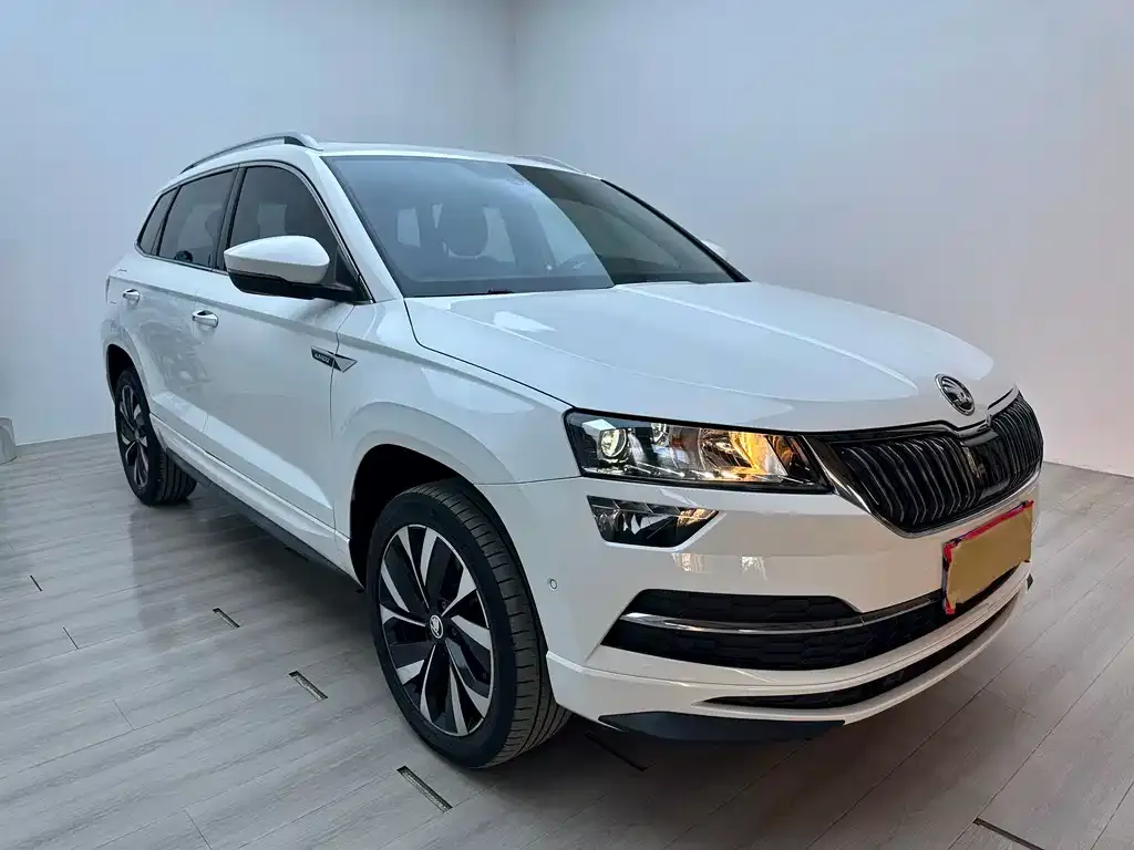 Skoda Karoq — фото 10