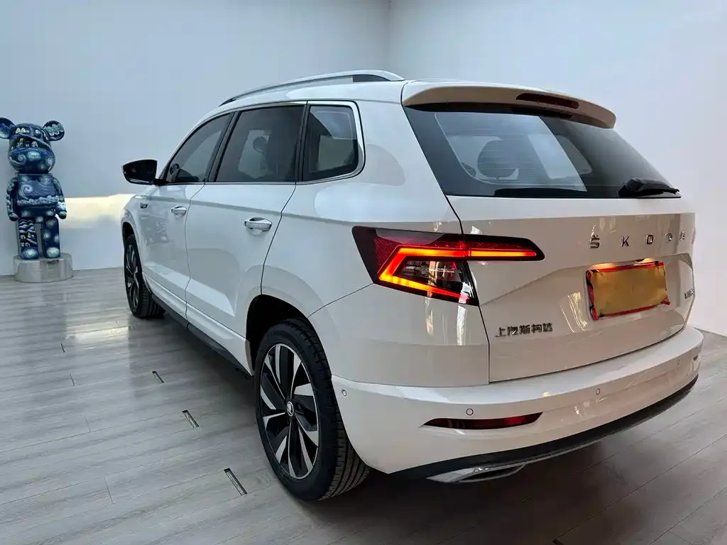 Skoda Karoq — фото 9