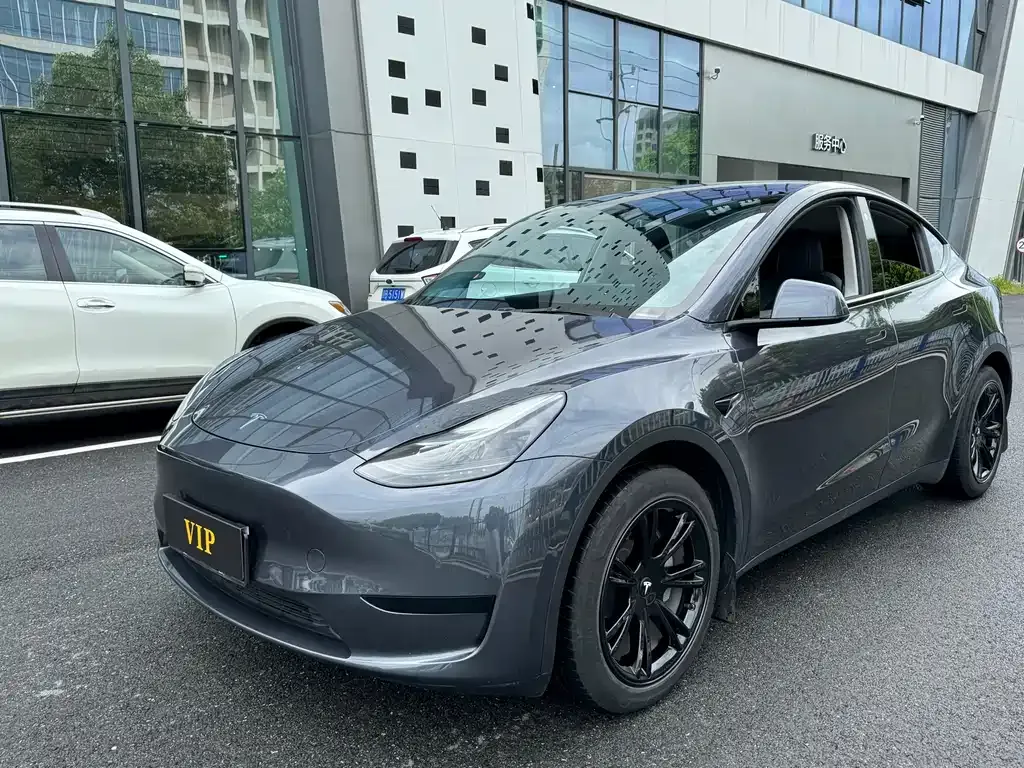 Tesla Model Y — фото 1