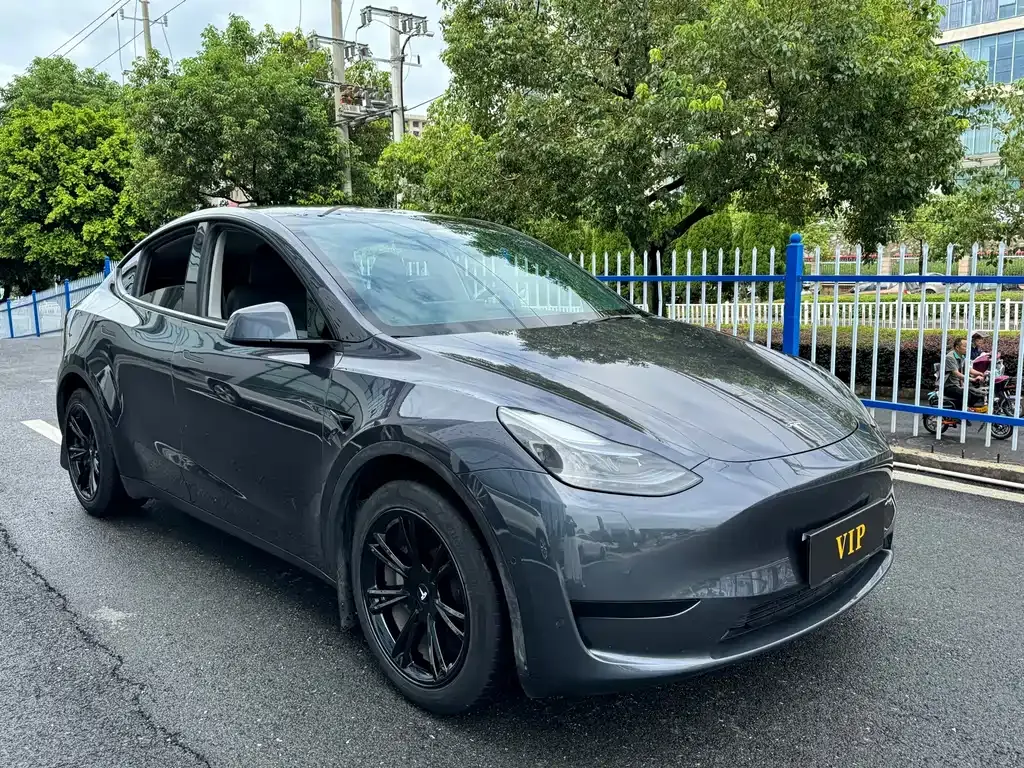Tesla Model Y — фото 9