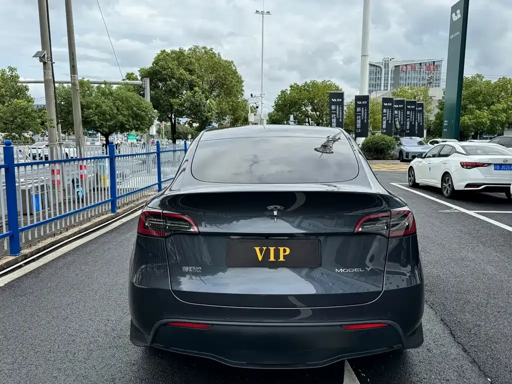 Tesla Model Y — фото 10
