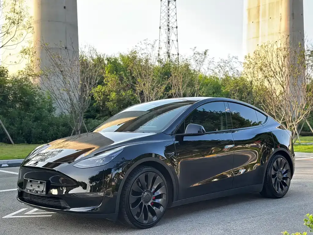 Tesla Model Y — фото 1
