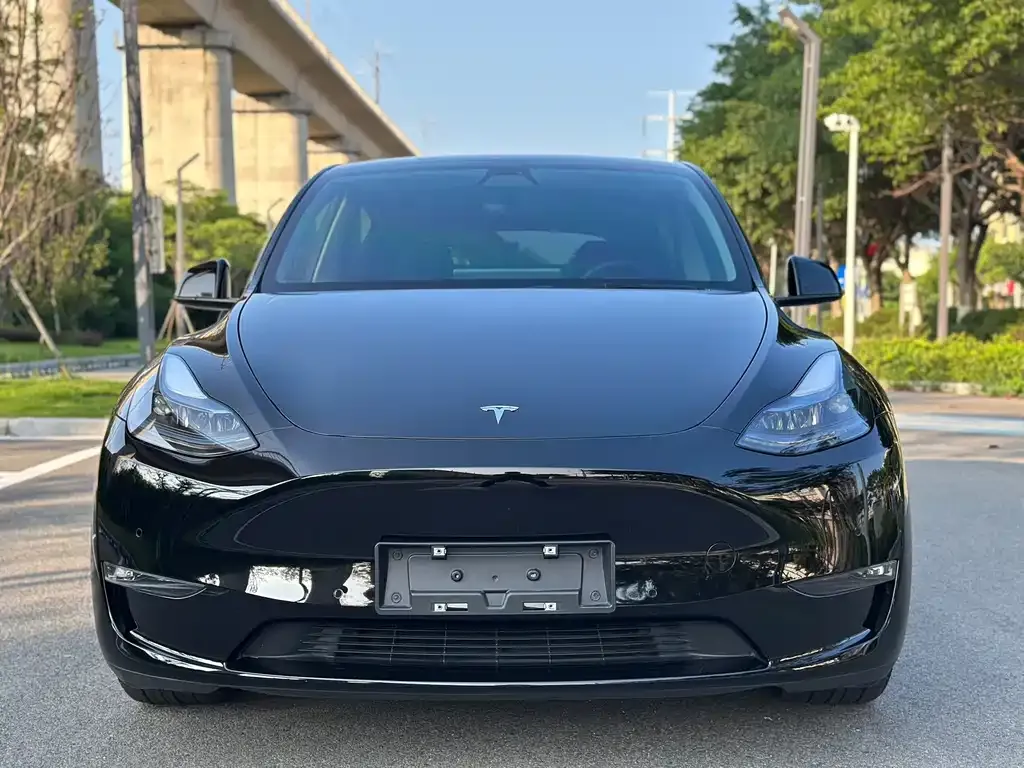 Tesla Model Y — фото 7