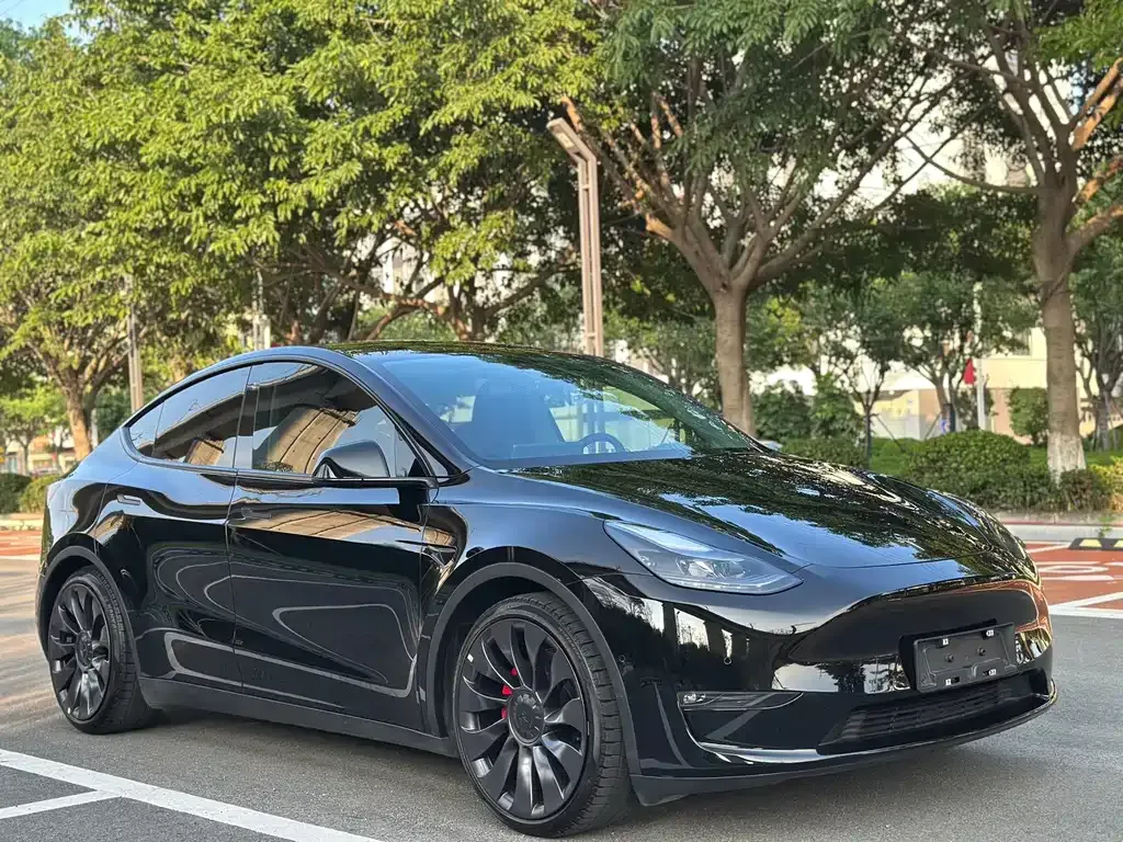 Tesla Model Y — фото 9