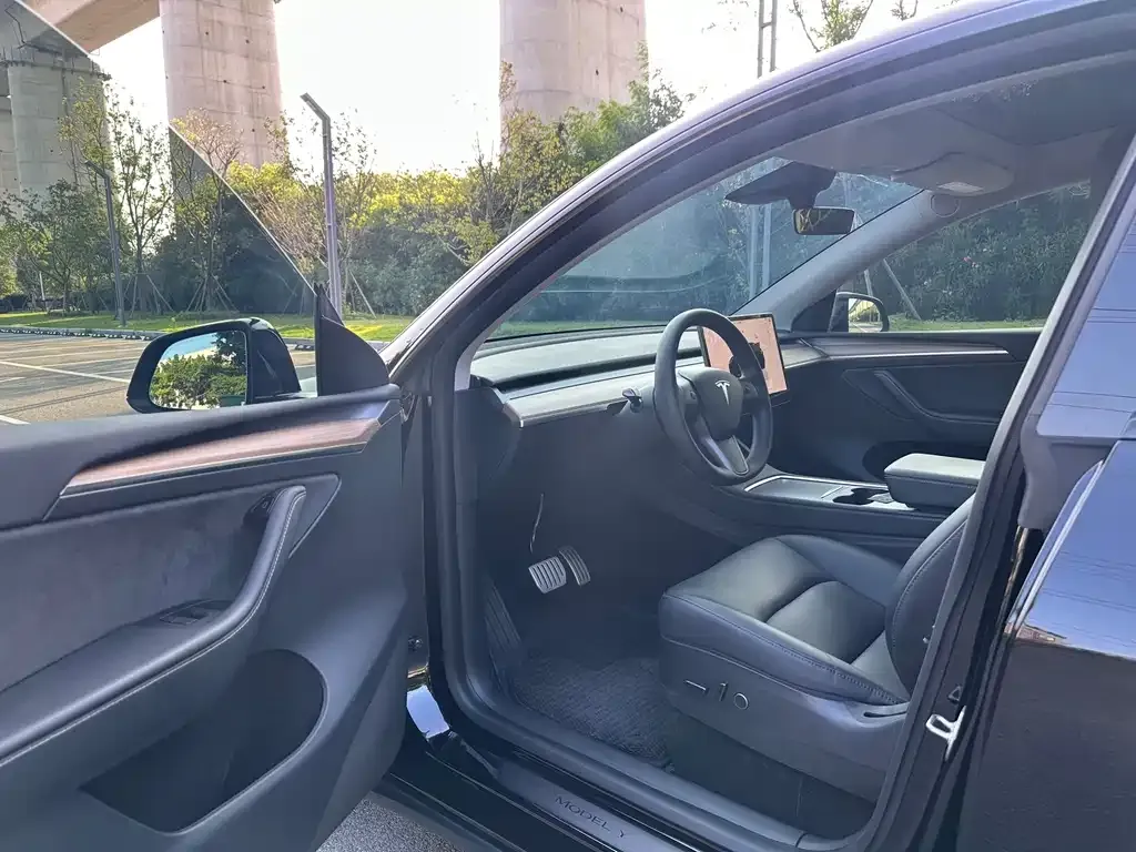 Tesla Model Y — фото 2