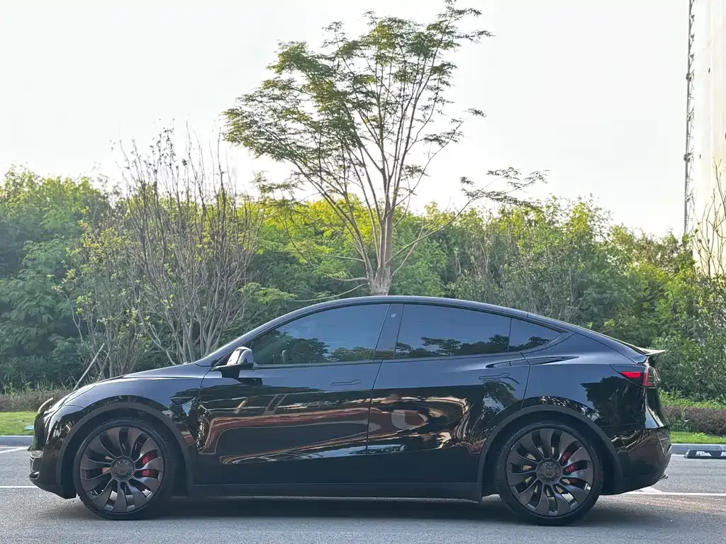 Tesla Model Y — фото 6