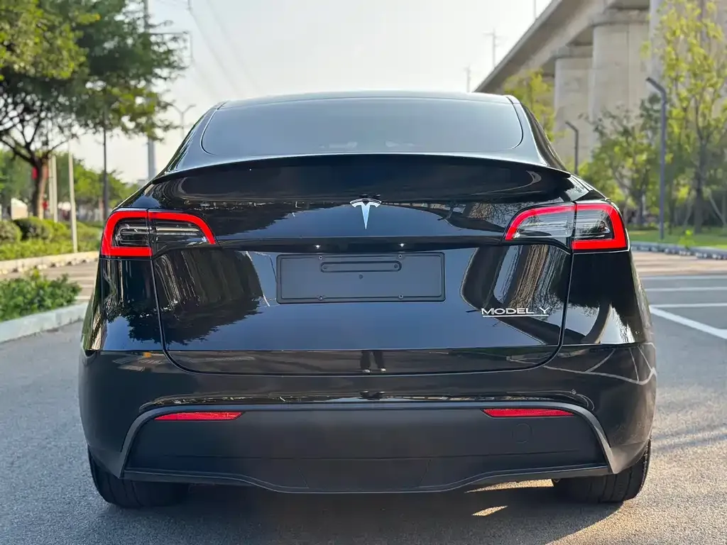 Tesla Model Y — фото 8