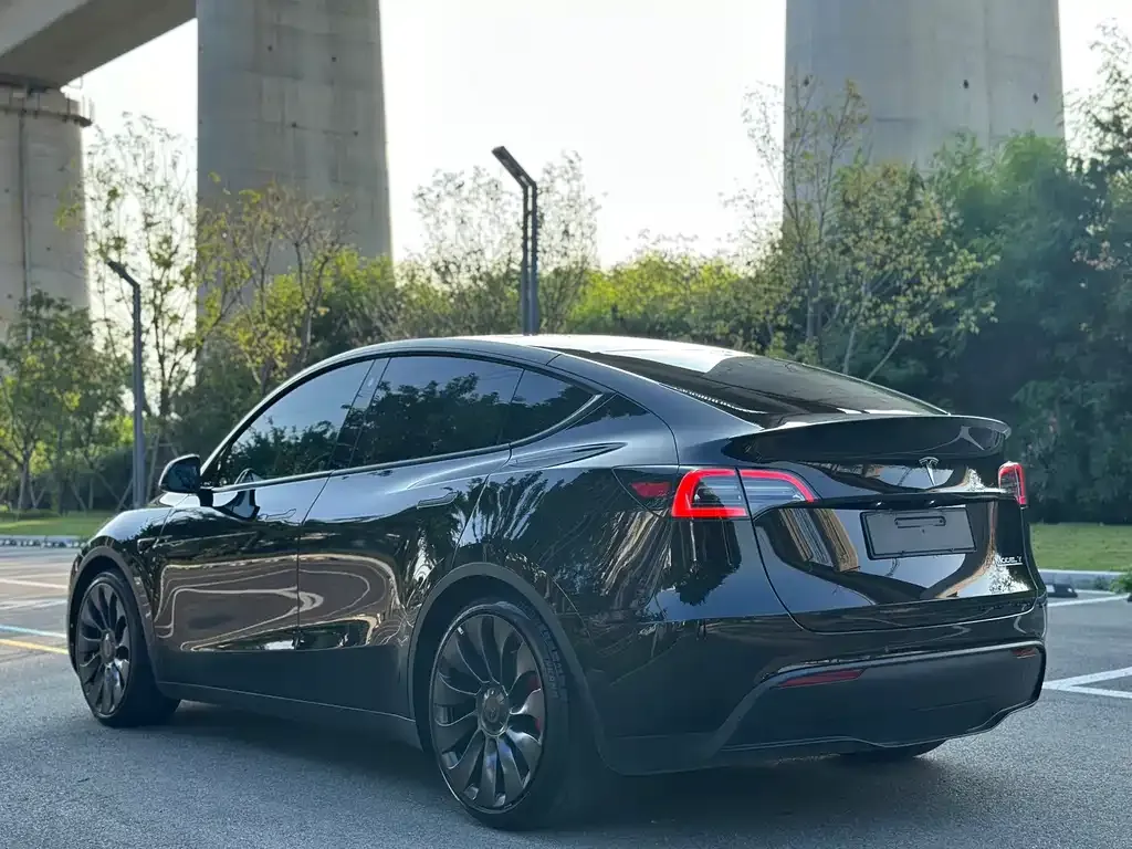 Tesla Model Y — фото 5