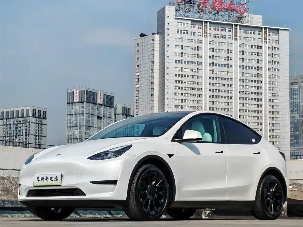 Tesla Model Y — фото 1