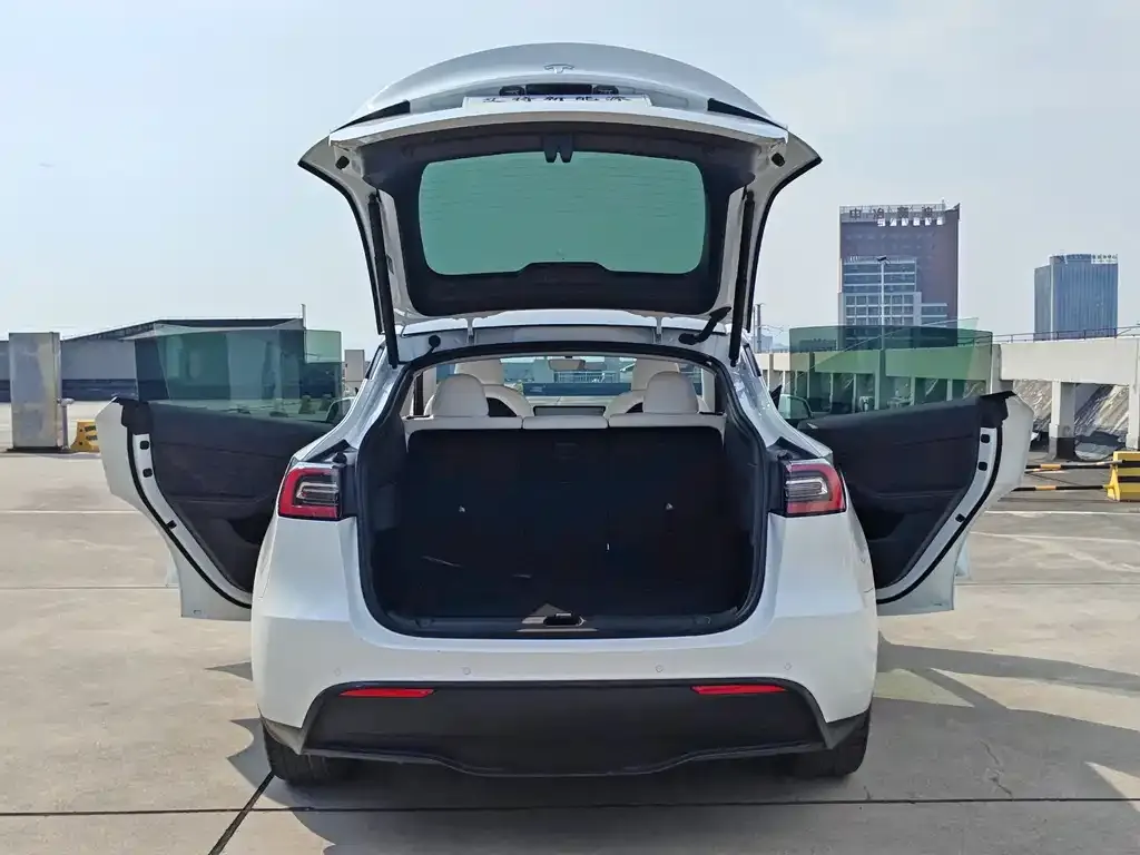 Tesla Model Y — фото 8